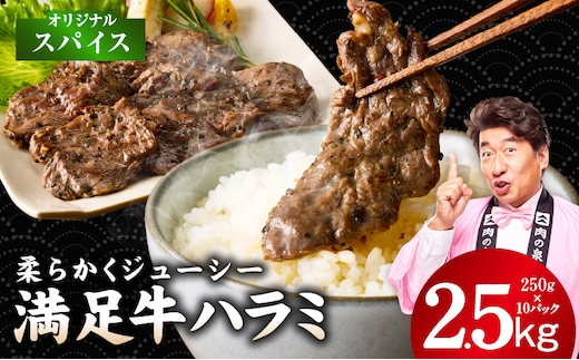 【満足牛ハラミ】オリジナルスパイス仕込み 合計2.5kg 【スピード発送 味付け ハラミ 小分け 焼くだけ 簡単調理 BBQ 牛肉 250g×10P 普段使い】 G5287