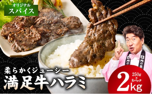【満足牛ハラミ】オリジナルスパイス仕込み 合計2kg 【スピード発送 味付け ハラミ 小分け 焼くだけ 簡単調理 BBQ 牛肉 250g×8P 普段使い】 G5288