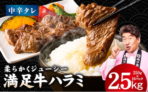 【満足牛ハラミ】中辛タレ漬け 合計2.5kg 【スピード発送 味付け ハラミ 小分け 焼くだけ 簡単調理 BBQ 牛肉 250g×10P 普段使い】 G5290