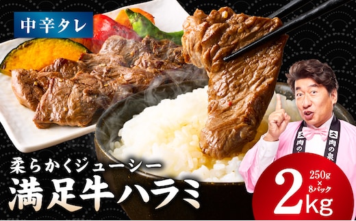 【満足牛ハラミ】中辛タレ漬け 合計2kg 【スピード発送 味付け ハラミ 小分け 焼くだけ 簡単調理 BBQ 牛肉 250g×8P 普段使い】 G5291