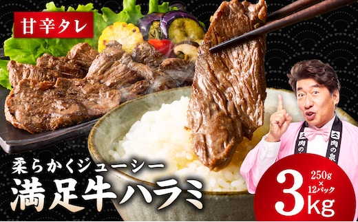 【満足牛ハラミ】甘辛タレ漬け 合計3kg 【スピード発送 味付け ハラミ 小分け 焼くだけ 簡単調理 BBQ 牛肉 250g×12P 普段使い】 G5294