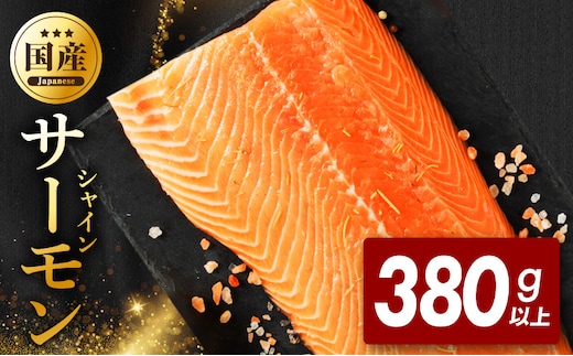 シャインサーモン 380g以上【国産 小分け さーもん 鮭 さけ シャケ しゃけ 冷凍 サイズ不揃い 訳あり】 G5602-1