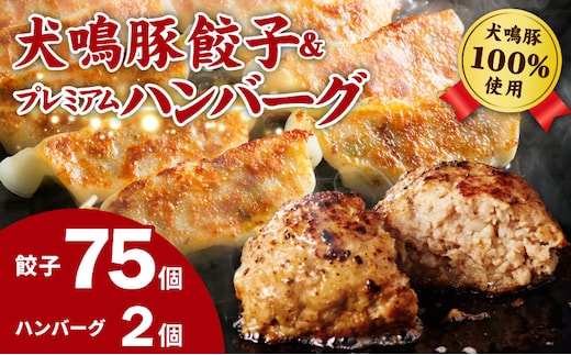 【期間限定】犬鳴豚餃子 75個 ハンバーグ 2個 セット【国産 豚肉 泉佐野ブランド豚 犬鳴ポーク 焼くだけ 人気 総菜 冷凍】 G5372