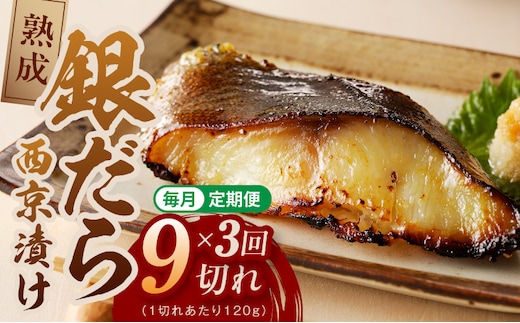 【定期便】銀鱈 西京漬け 120g×9切れ 全3回【厚切り 小分け 熟成 銀だら ぎんだら ギンダラ 海産物 魚 惣菜 西京焼き 味噌 お酒のあて 訳あり サイズ不揃い 切り落とし】 G5638
