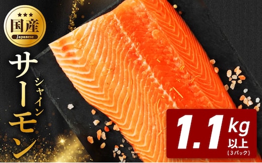 シャインサーモン 1.1kg以上【3パック 国産 小分け さーもん 鮭 さけ シャケ しゃけ 冷凍 サイズ不揃い 訳あり】 G5749