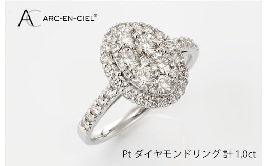ARC-EN-CIEL プラチナ ダイヤリング（計 1.0ct）【鑑別書付き ジュエリー プレゼント ギフト ファッション アクセサリー 贈り物 贈答 お祝い 記念日】 J003-4