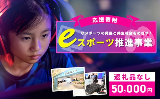 【返礼品なし】eスポーツの発展と共生社会の実現をめざす！eスポーツ推進応援寄附（大阪府泉佐野市） ON0014