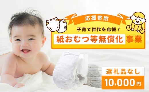 【返礼品なし】子育て世代を応援！紙おむつ等無償化応援寄附（大阪府泉佐野市） ON0017