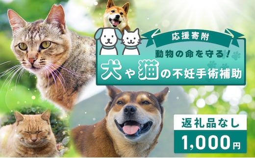 【返礼品なし】動物の命を守る！犬や猫の不妊手術補助 応援寄附（大阪府泉佐野市） ON0026
