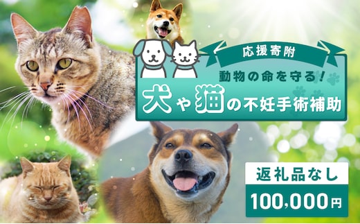 【返礼品なし】動物の命を守る！犬や猫の不妊手術補助 応援寄附（大阪府泉佐野市） ON0030