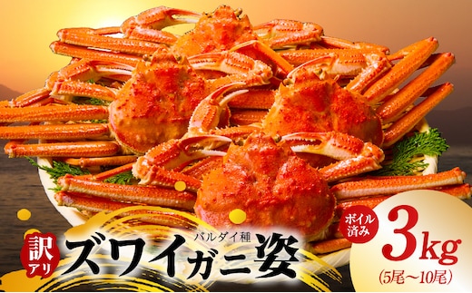 【訳あり規格】バルダイ種 ズワイガニ姿 3kg（5～10尾）【ボイル済み オオズワイガニ かに カニ 蟹 ズワイガニ ファミリー向け】 kgp0104