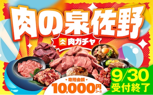 【9/30受付終了】肉の泉佐野 ガチャ（寄附10,000円コース）【期間限定 牛肉 焼肉 牛タン ハラミ カルビ BBQ ハンバーグ お楽しみ 翌月以降】 gacha014