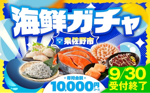 【9/30受付終了】泉佐野 海鮮ガチャ（寄附10,000円コース）【期間限定 海鮮 えび 鮭 サーモン しらす 刺身 普段使い お楽しみ 翌月以降】 gacha015