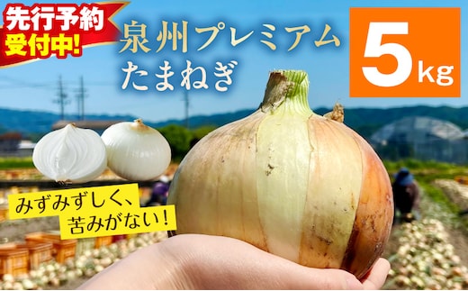 【先行予約】プレミアムたまねぎ 5kg【泉州 玉ねぎ タマネギ 玉葱 甘い 野菜 国産 オニオン サラダ カレー バーベキュー】 ity0013-1