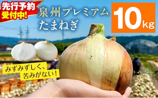 【先行予約】プレミアムたまねぎ 10kg【泉州 玉ねぎ タマネギ 玉葱 甘い 野菜 国産 オニオン サラダ カレー バーベキュー】 ity0014-1