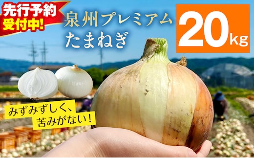 【先行予約】プレミアムたまねぎ 20kg【泉州 玉ねぎ タマネギ 玉葱 甘い 野菜 国産 オニオン サラダ カレー バーベキュー】 ity0016-1