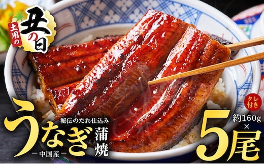 【土用の丑の日までにお届け】うなぎ蒲焼 合計800g【約160g×5尾 特製タレ付 鰻 ウナギ 中国産 レンジ 温めるだけ 簡単調理 ふわふわ 炭火焼き 備長炭 手焼き】 kgp0020-1d