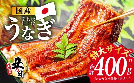 【土用の丑の日までにお届け】国産うなぎ 特大2尾 400g以上【特製タレ付 蒲焼 鰻 ウナギ 炭火焼き 備長炭 手焼き レンジ 温めるだけ 簡単調理】 kgp0022-1d