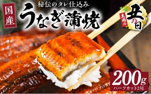 【土用の丑の日までにお届け】国産うなぎ ハーフカット 合計200g【特製タレ付 蒲焼 訳あり 鰻 ウナギ 無頭 炭火焼き 備長炭 手焼き レンジ 温めるだけ 簡単調理】 kgp0037-1d