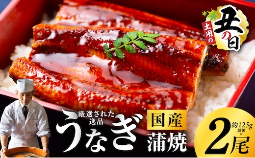 【土用の丑の日までにお届け】国産うなぎ 2尾 合計250g【高評価 特製タレ付 蒲焼 鰻 ウナギ 有頭 炭火焼き 備長炭 手焼き レンジ 温めるだけ 簡単調理】 kgp0039-1d