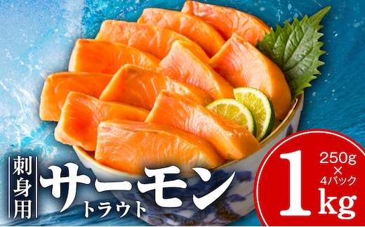 お刺身用 サーモン トラウト 1kg【小分け 約250g×4P ポーション ブロック 柵 訳あり サイズ不揃い さーもん 数量限定】 kgp0048-2