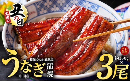 【土用の丑の日までにお届け】うなぎ蒲焼 合計480g【約160g×3尾 特製タレ付 鰻 ウナギ 中国産 レンジ 温めるだけ 簡単調理 ふわふわ 炭火焼き 備長炭 手焼き】 kgp0066-1d