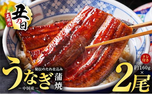 【土用の丑の日までにお届け】うなぎ蒲焼 合計320g【約160g×2尾 特製タレ付 鰻 ウナギ 中国産 レンジ 温めるだけ 簡単調理 ふわふわ 炭火焼き 備長炭 手焼き】 kgp0067-1d