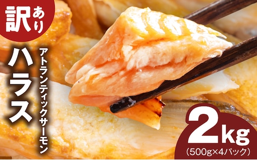 【訳あり】アトランティックサーモン ハラス 2kg 【500g×4P ノルウェー 大トロ 腹身 上質 冷凍】 kgp0082