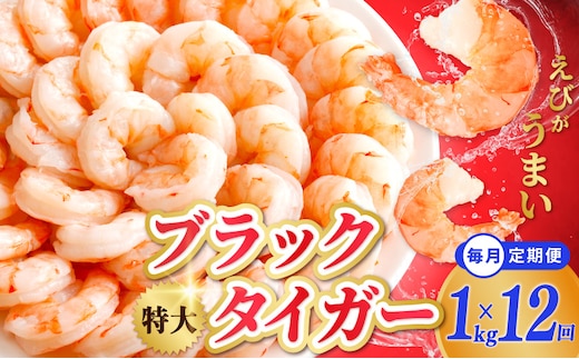 特大ブラックタイガー 定期便 1kg×全12回 むきえび 30-40尾 背ワタなし【毎月配送コース】 kgp0115