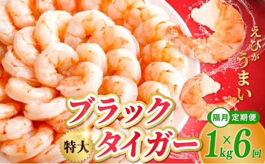 特大ブラックタイガー 定期便 1kg×全6回 むきえび 30-40尾 背ワタなし【2か月に1回配送コース】 kgp0117