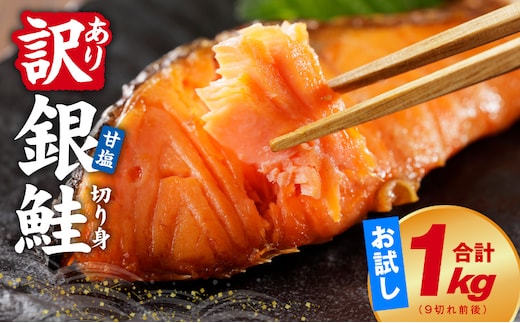 銀鮭 切り身 1kg 9切れ前後【お試し TVで紹介 訳あり サイズ不揃い 海鮮 魚介 鮭 さけ しゃけ お弁当 簡単調理】 kgp0125