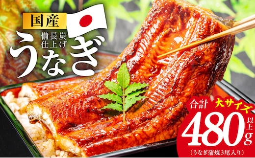 【特別規格】国産うなぎ蒲焼 480g以上（大サイズ3尾）【レンチン 湯煎対応 簡単調理 鰻 ウナギ 人気総菜 日本産 土用の丑の日にも】 kgp0130