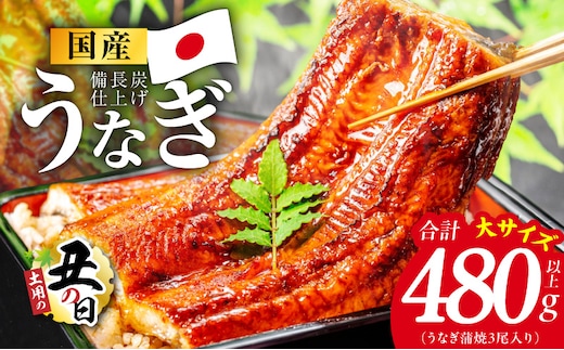 【土用の丑の日】国産うなぎ蒲焼 480g以上（大サイズ3尾）【レンチン 湯煎対応 簡単調理 鰻 ウナギ 人気総菜 日本産 特別規格】 kgp0130d