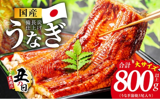 【土用の丑の日】国産うなぎ蒲焼 800g以上（大サイズ5尾）【レンチン 湯煎対応 簡単調理 鰻 ウナギ 人気総菜 日本産 特別規格】 kgp0132d