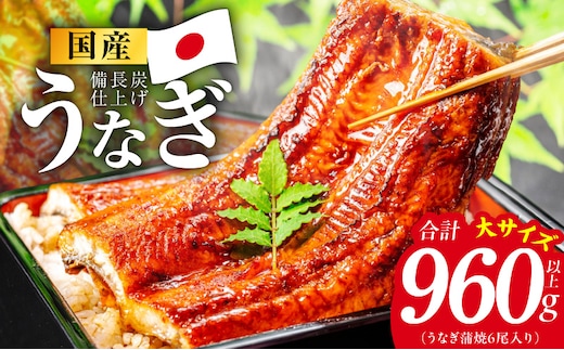 【特別規格】国産うなぎ蒲焼 960g以上（大サイズ6尾）【レンチン 湯煎対応 簡単調理 鰻 ウナギ 人気総菜 日本産 土用の丑の日にも】 kgp0133