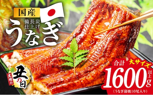 【土用の丑の日】国産うなぎ蒲焼 1600g以上（大サイズ10尾）【レンチン 湯煎対応 簡単調理 鰻 ウナギ 人気総菜 日本産 特別規格】 kgp0135d