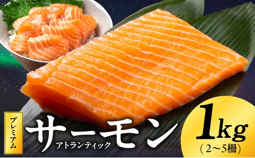 【定期便】ノルウェー産 プレミアム アトランティックサーモン 1kg 【2～5柵 訳あり サイズ不揃い 刺身 海鮮丼 サラダ 冷凍 2026年3月＆6月発送 全2回】 kgpZ006