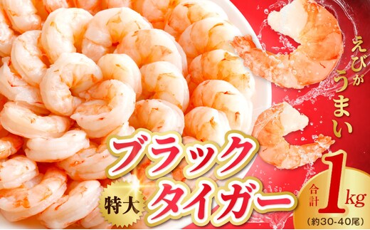 【定期便】高級ブラックタイガー 1kg【特大 30-40尾 背ワタなし 下処理不要 えび 海老 訳あり サイズ不揃い バラ凍結 2026年2月＆5月発送 全2回】 kgpZ009