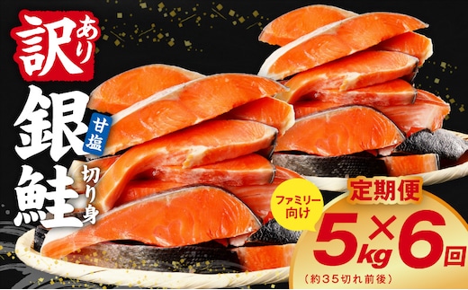 【定期便】銀鮭 切り身 5kg(約35切れ前後) 全6回【訳あり 規格外 甘塩 バラ凍結 海鮮 魚介 鮭 さけ しゃけ お弁当 朝食 おかず 簡単調理 家計応援】 kgpZ041