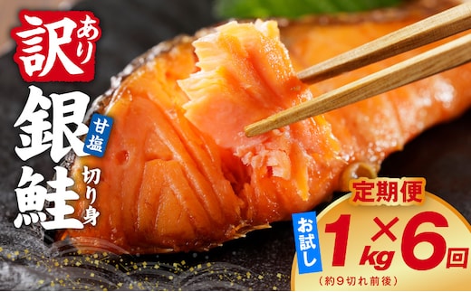 【定期便】銀鮭 切り身 1kg(約9切れ前後) 全6回【訳あり 規格外 甘塩 バラ凍結 海鮮 魚介 鮭 さけ しゃけ お弁当 朝食 おかず 簡単調理 家計応援】 kgpZ043