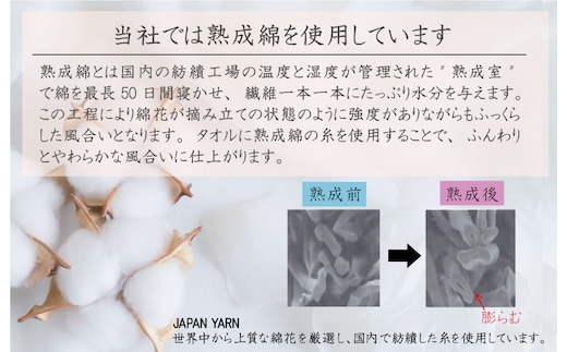 泉州タオル上之郷 楽天市場】タオル 上之郷の通販