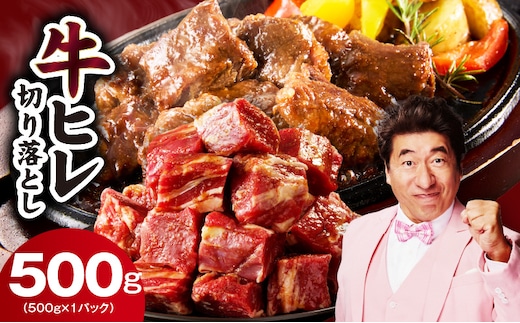 【お試し】牛ヒレ肉 切り落とし 500g【スピード発送 小分け 500g×1P 氷温熟成×特製ダレ サイズ不揃い やわらか ステーキ ひと口サイズ カット済み】 mrz0309