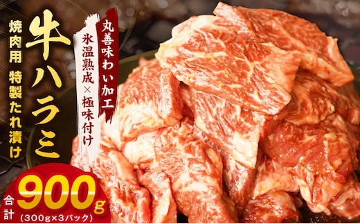 牛肉 ハラミ 900g 小分け 300g×3P【氷温熟成×特製ダレ 味付き 牛肉 訳あり 不揃い 焼肉 BBQ 野菜炒め】 mrz0268