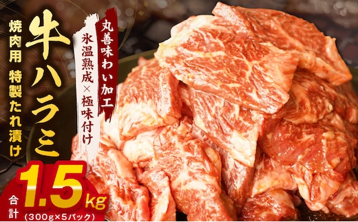 牛肉 ハラミ 1.5kg 小分け 300g×5P【氷温熟成×特製ダレ 味付き 牛肉 訳あり 不揃い 焼肉 BBQ 野菜炒め】 mrz0270