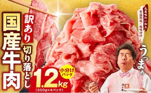 国産牛 切り落とし 1.2kg 小分け 300g×4P【国産 牛肉 氷温熟成×極味付け 訳あり サイズ不揃い カレー 牛丼 野菜炒め 肉じゃが 家計応援】 mrz0362