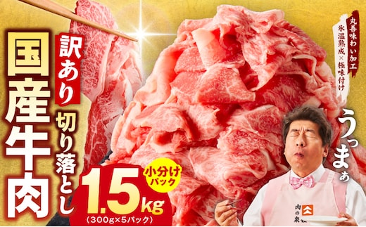 国産牛 切り落とし 1.5kg 小分け 300g×5P【国産 牛肉 氷温熟成×極味付け 訳あり サイズ不揃い カレー 牛丼 野菜炒め 肉じゃが 家計応援】 mrz0363