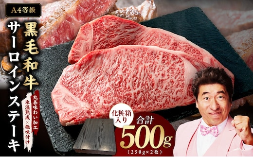 【A4ランク】黒毛和牛 サーロインステーキ 500g 化粧箱入り【氷温熟成×極味付け 250g×2 牛肉 ギフト プレゼント 贈り物】 mrz0266