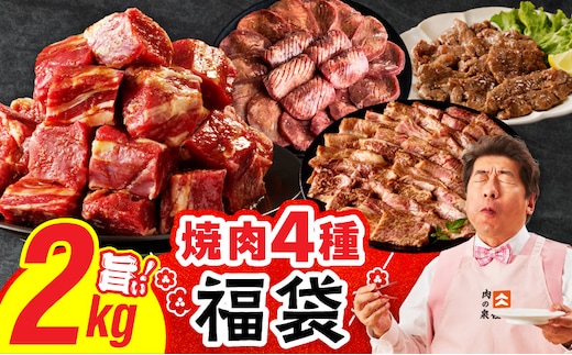 2025年 焼肉 福袋 4種 2kg【氷温熟成×特製ダレ 500g 小分け 牛肉 牛タン ヒレ ハラミ バラ 数量限定】 mrz0336