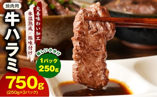 牛肉 ハラミ 750g 小分け 250g×3P【氷温熟成×極味付け 牛肉 訳あり 不揃い 焼肉 BBQ 野菜炒め】 mrz0249