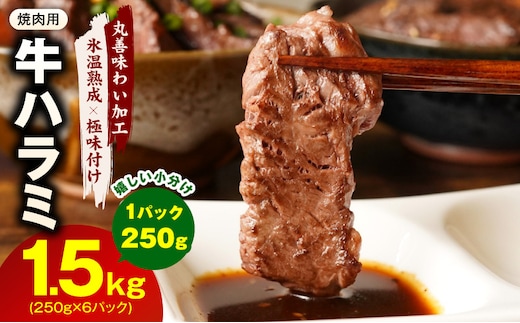 牛肉 ハラミ 1.5kg 小分け 250g×6P【氷温熟成×極味付け 牛肉 訳あり 不揃い 焼肉 BBQ 野菜炒め】 mrz0251